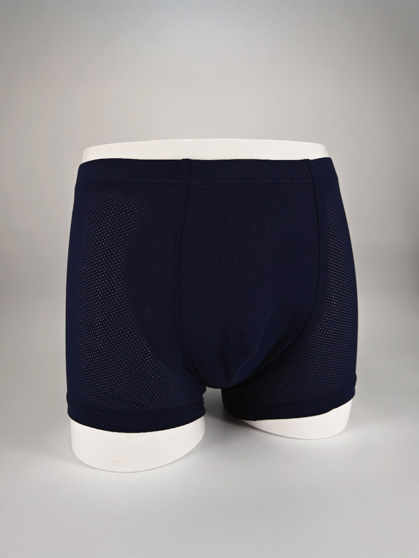 Mesh Ice Silk Briefs